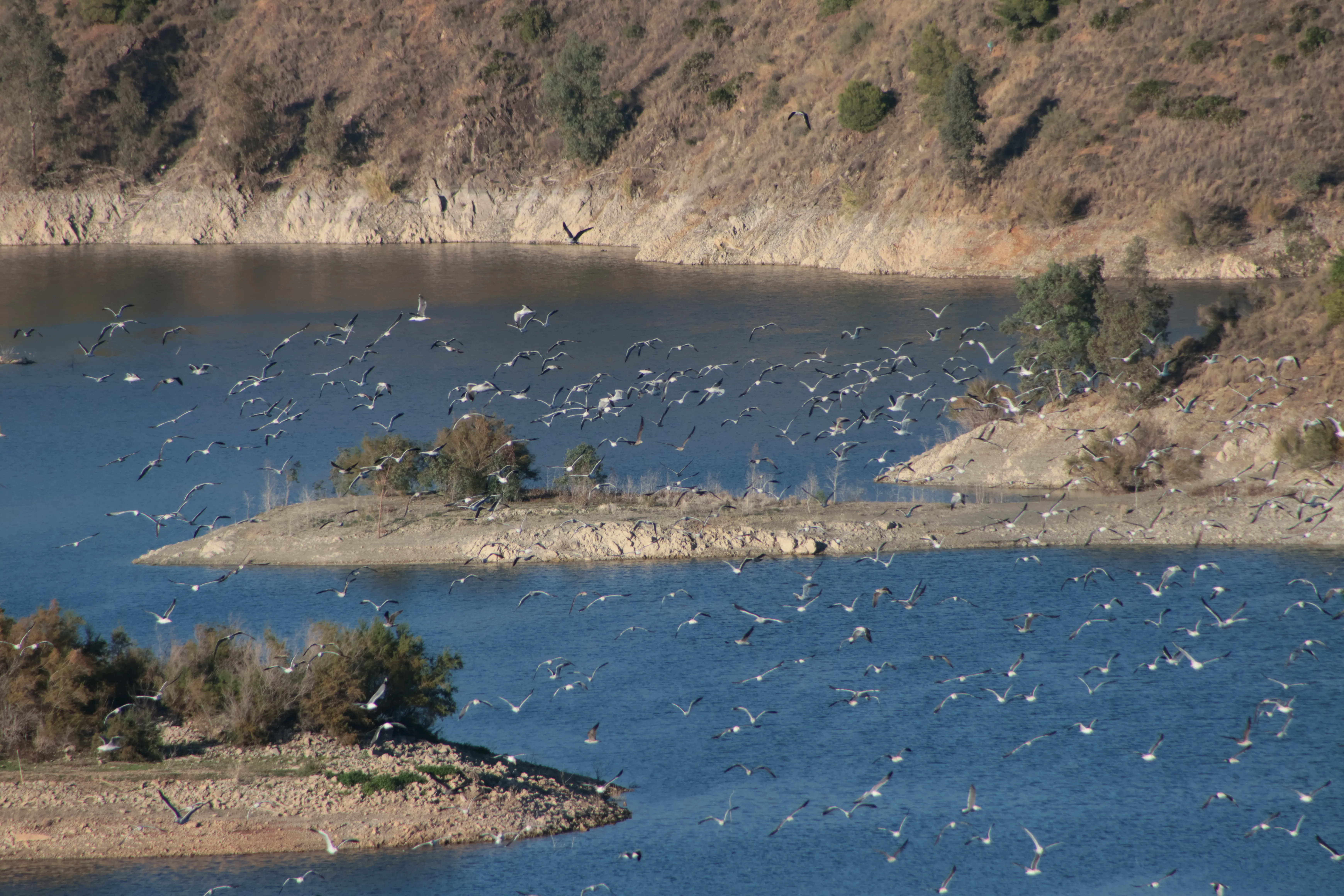 Tamron 28-300mm F3.5-6.3 (EF) - AI4A6009.webp